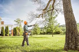 Best Lawn Maintenance Plans  in Quitman, TX