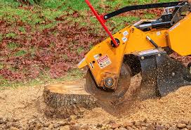 How Our Tree Care Process Works  in  Quitman, TX